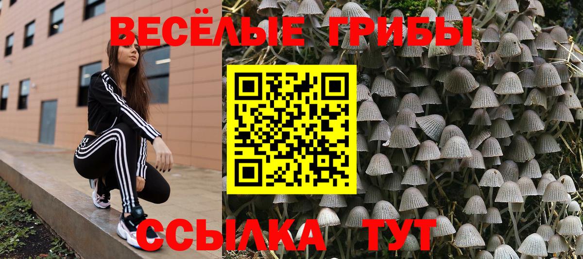 Галлюциногенные грибы GOLDEN TEACHER  Вход с VPN  Галлюциногенные грибы мухоморы  Вичуга 